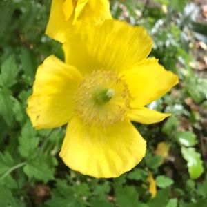 Meet your Posher, Leanne